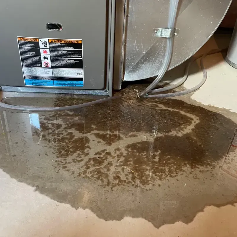 Appliance Leak Cleanup in Saint Marys, PA